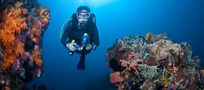 Plongée sous-marine